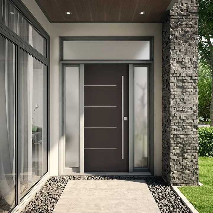 steel entry door