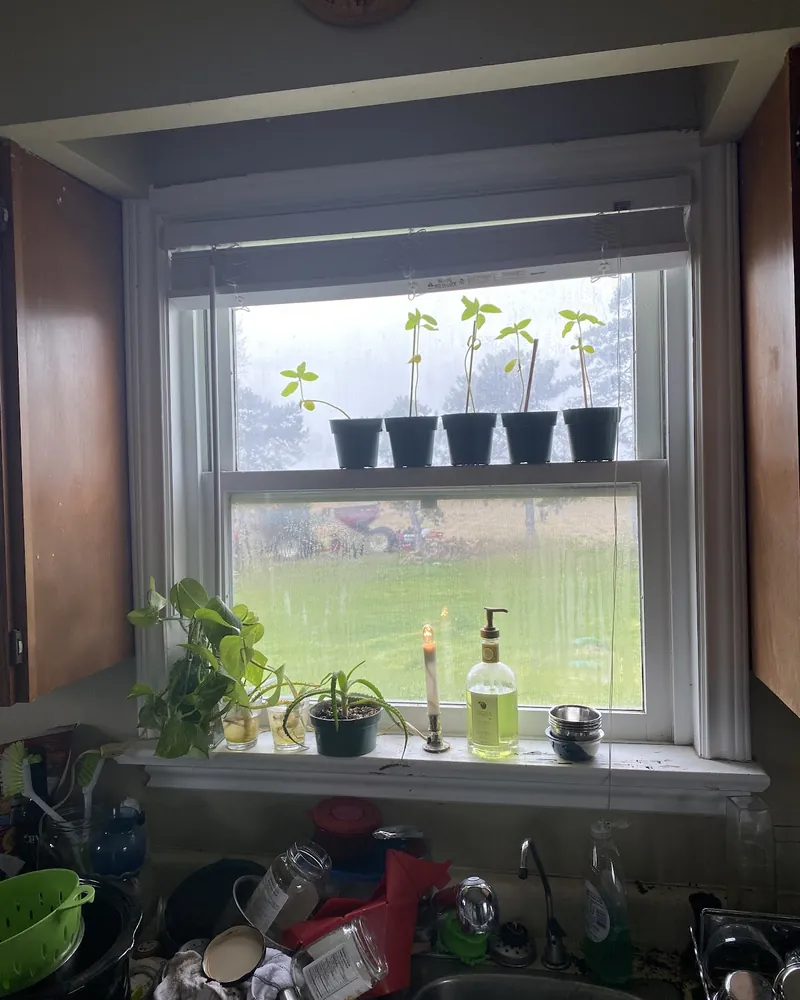 Kitchen window over the sink before replacement